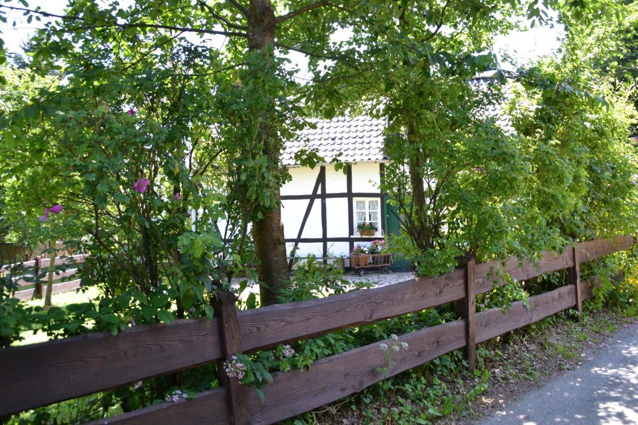 몬샤우 Eifelhaus Paula 빌라 외부 사진